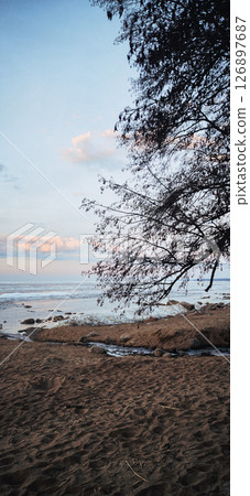 Spring landscape. Panoramic view of beautiful dawn on bay. Cumulus clouds over water in bright light. Ice, snow and rocks on coastline. Rising rays of sun are reflected in sea. Vertical photo. 126897687