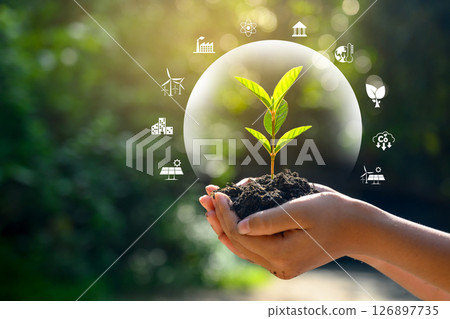 environment Earth Day In the hands of trees growing seedlings. Bokeh green Background Female hand holding tree on nature field grass Forest conservation concept 126897735