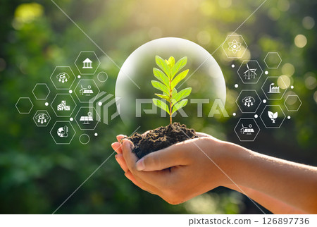 environment Earth Day In the hands of trees growing seedlings. Bokeh green Background Female hand holding tree on nature field grass Forest conservation concept 126897736