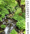 Nature mountain stream 126897797
