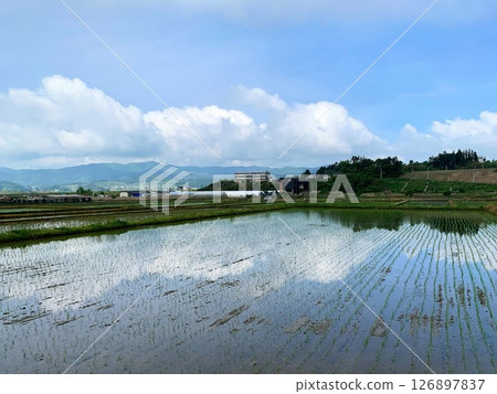 Yoneda Rikuzentakata City Tohoku Travel 126897837