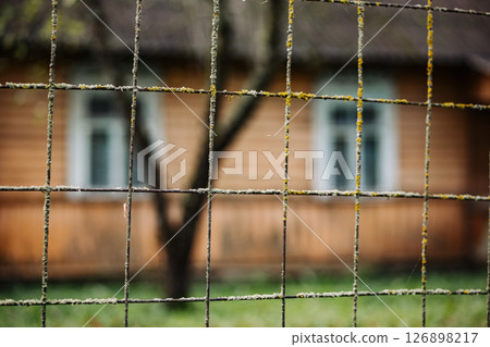 Rusty wire mesh covering wooden house with lichen growing on it 126898217