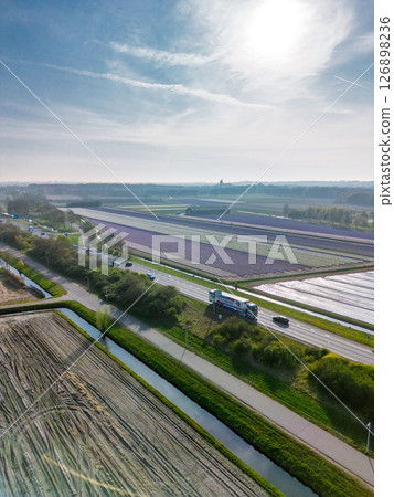Aerial view of vibrant tulip fields in full bloom, displaying colorful rows of flowers in a rural landscape, with nearby roads, farms, and a distant town under a clear blue sky. Aerial view of vibrant tulip fields in full bloom, displaying colorful rows of flowers in a rural landscape, with nearby roads, farms, and a distant town under a clear blue sky. 126898236