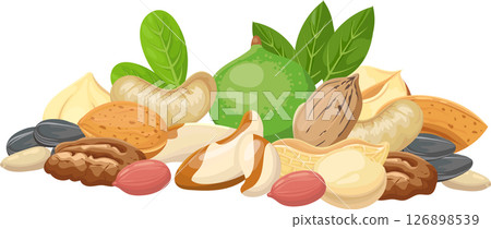 Pecans, Brazil nuts, peanuts, cashews, almonds, macadamia nuts and sunflower seeds are forming a colorful composition with some green leaves on a white background Pecans, Brazil nuts, peanuts, cashews, almonds, macadamia nuts and sunflower seeds are forming a colorful composition with some green leaves on a white background 126898539