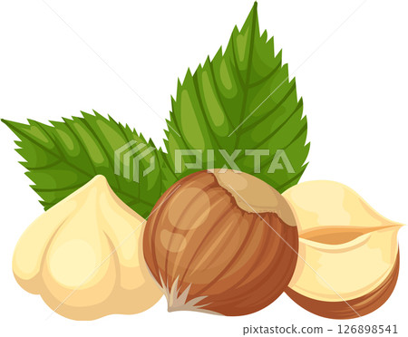 Composition of hazelnuts featuring whole nuts, kernels, and vibrant green leaves, creating an appealing arrangement that highlights their natural beauty and nutritional value 126898541