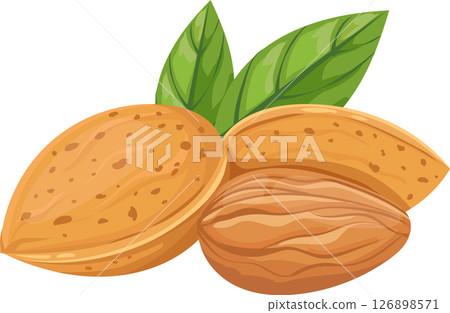 Nutritious almonds featuring vibrant green leaves, displaying both the outer shell and the inner seed, appealing to health conscious consumers seeking wholesome snacks and ingredients Nutritious almonds featuring vibrant green leaves, displaying both the outer shell and the inner seed, appealing to health conscious consumers seeking wholesome snacks and ingredients 126898571