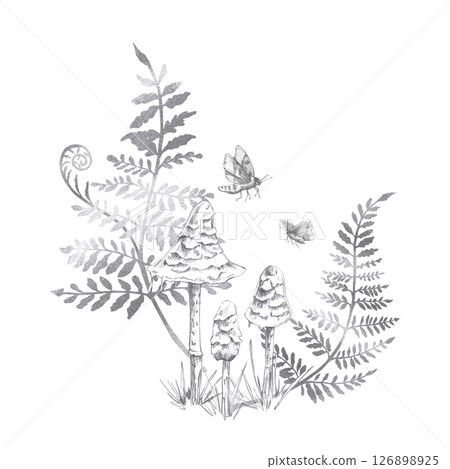 Composition of three mushrooms, fern branches and moths. Isolated pencil illustration on the theme of a magical forest for the design of postcards, coloring books, printing on posters, textiles. 126898925