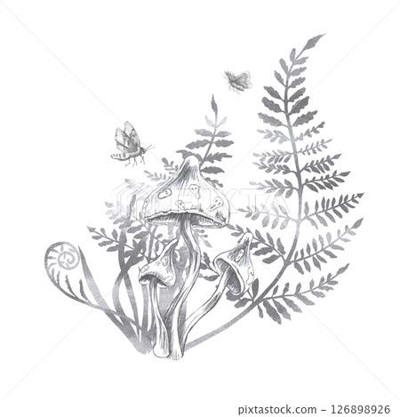 Composition of mushrooms, fern branches and two moths. Isolated pencil illustration on the theme of a magical forest for the design of postcards, coloring books, printing on posters, textiles. Composition of mushrooms, fern branches and two moths. Isolated pencil illustration on the theme of a magical forest for the design of postcards, coloring books, printing on posters, textiles. 126898926