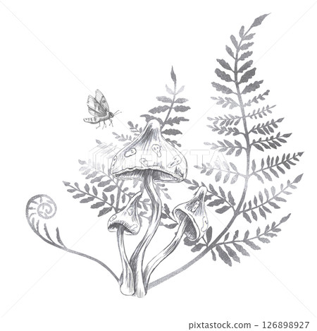 Composition of inedible mushrooms, fern branches and a moth. Isolated pencil illustration on the theme of a magical forest for the design of postcards, coloring books, printing on posters, textiles. 126898927