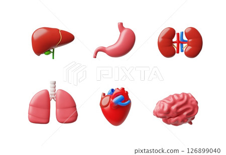 3D vector illustration of human internal organs, heart, brain, lungs, liver, stomach and kidneys. 126899040