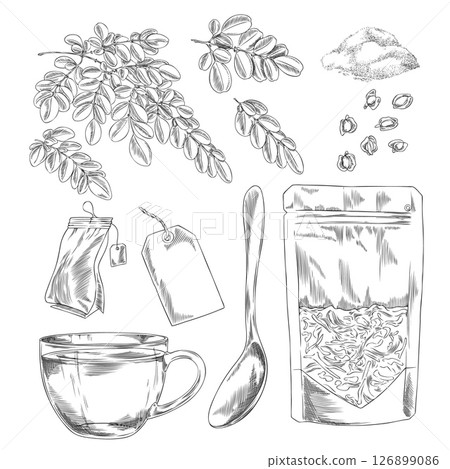 Moringa oleifera products engraved hand drawn vector set, leaves, seeds and powder, Asian superfood in package, tea bag Moringa oleifera products engraved hand drawn vector set, leaves, seeds and powder, Asian superfood in package, tea bag 126899086