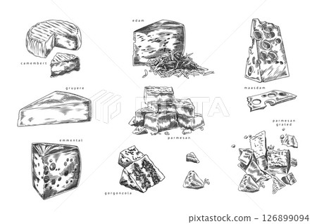Different cheeses pieces sketch vector set, engraved hand drawn emmental, edam, maasdam, Gruyere Parmesan and Gorgonzola Different cheeses pieces sketch vector set, engraved hand drawn emmental, edam, maasdam, Gruyere Parmesan and Gorgonzola 126899094