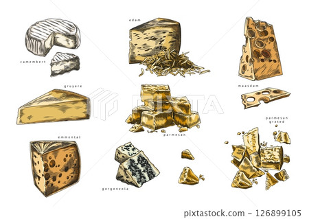 Vector watercolor set of cheese types pieces with name. 126899105
