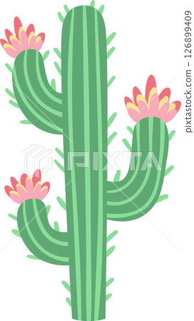 Saguaro cactus adorned with three vibrant pink flowers blooming on its arms, representing resilience and beauty thriving in harsh desert environments Saguaro cactus adorned with three vibrant pink flowers blooming on its arms, representing resilience and beauty thriving in harsh desert environments 126899409
