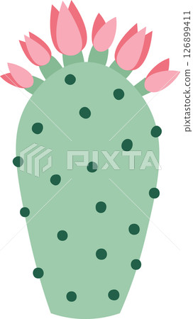 Light green cactus featuring dark green dots and vibrant pink flowers blooming on top, presented as a simple vector illustration against a clean white background 126899411