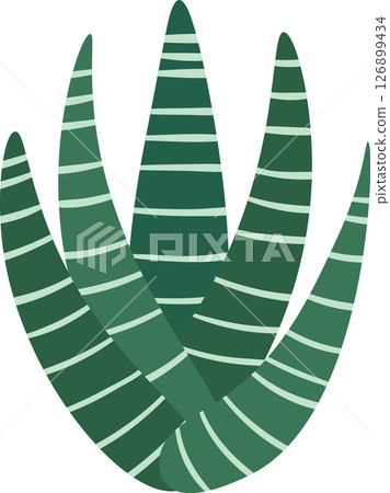 Close up of Sansevieria trifasciata, or snake plant, featuring vibrant green leaves with striking horizontal stripes, enhancing indoor elegance and natural beauty Close up of Sansevieria trifasciata, or snake plant, featuring vibrant green leaves with striking horizontal stripes, enhancing indoor elegance and natural beauty 126899434