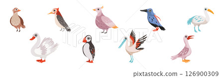 Different Bird and Avian Species with Beak and Wing Vector Set Different Bird and Avian Species with Beak and Wing Vector Set 126900309