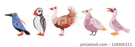 Different Bird and Avian Species with Beak and Wing Vector Set 126900313