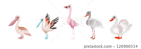Different Bird and Avian Species with Beak and Wing Vector Set 126900314