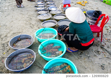 Vietnamese beach seafood market with live lobsters in basins and a woman vendor in a conical hat 126900820