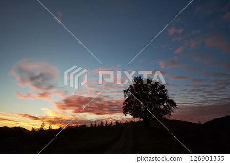 Solitary tree stands silhouette against sunset, with vibrant pink and orange clouds scattered across sky. Serene and picturesque landscape. Peaceful evening scene evokes sense of calm and tranquility. Solitary tree stands silhouette against sunset, with vibrant pink and orange clouds scattered across sky. Serene and picturesque landscape. Peaceful evening scene evokes sense of calm and tranquility. 126901355