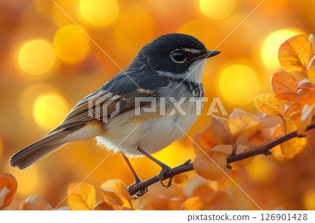 Autumn Wildlife Scene with a Bird on a Branch in Vibrant Bokeh Background Generative AI 126901428