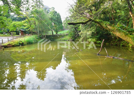 Matsue Castle Marai Pond Matsue Castle Marai Pond 126901785