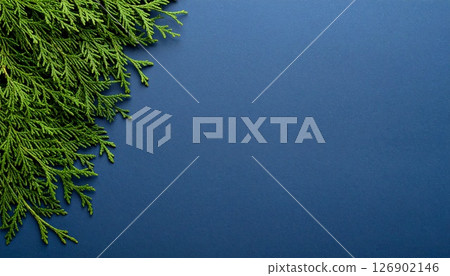 A cool space reflected in the green of the cypress trees 126902146