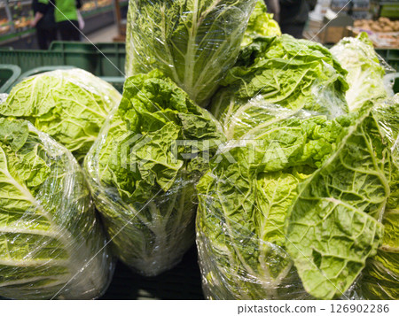 Freshly packed romaine lettuce at a bustling market in autumn Freshly packed romaine lettuce at a bustling market in autumn 126902286
