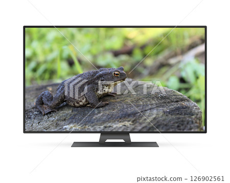Smart tv with frog on screen 126902561