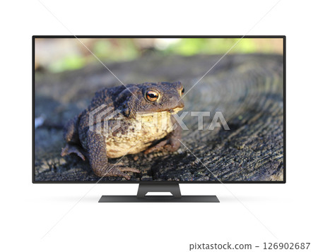 Smart tv with toad on screen Smart tv with toad on screen 126902687