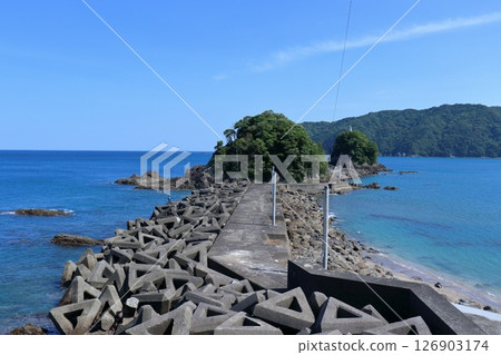 Early summer scenery of Futanajima Island in Kure Bay (Nakatosa Town, Kochi Prefecture) 126903174