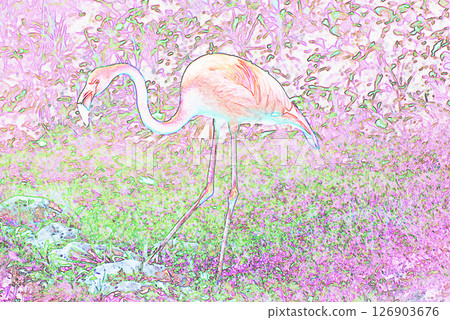 "Flamingo" illustration image 126903676