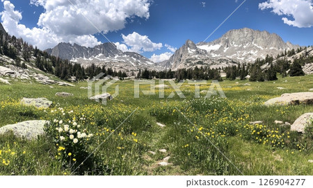 Lush valley with mountains and clouds under a clear blue sky 126904277