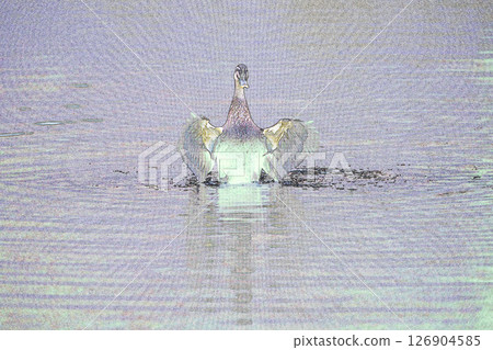 "Flapping duck" illustration image "Flapping duck" illustration image 126904585