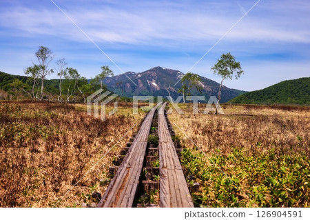Boardwalk in Ozegahara and Mt. Shibutsu in early summer Boardwalk in Ozegahara and Mt. Shibutsu in early summer 126904591