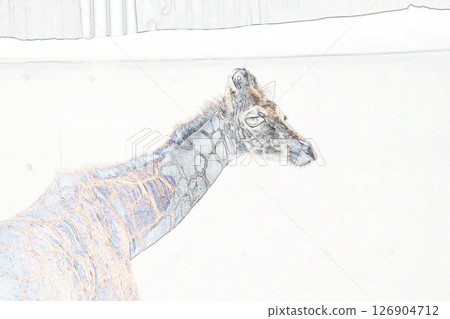 "Giraffe" illustration image 126904712