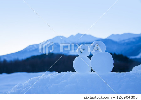 在一個多雪的領域的一個雪人 在一個多雪的領域的一個雪人 126904803