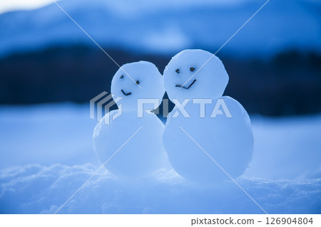 在一個多雪的領域的一個雪人 在一個多雪的領域的一個雪人 126904804
