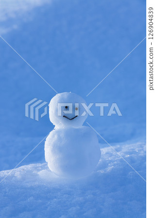 A snowman on a snowy field A snowman on a snowy field 126904839