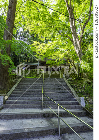 四國88所寺廟中的第43所：愛媛郡西予市明石寺石階及山門 126905027