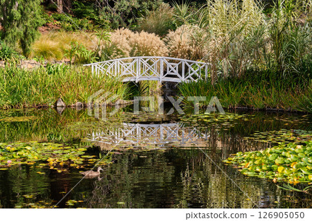 White bridge - Hobart 126905050