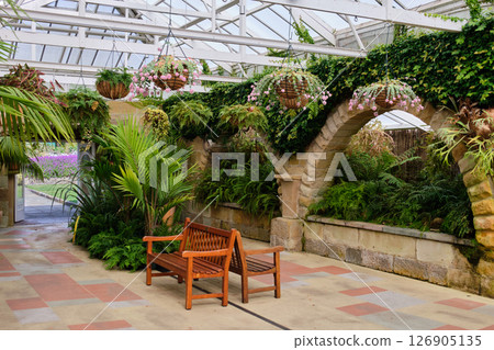Conservatory of the Botanical Gardens - Hobart 126905135