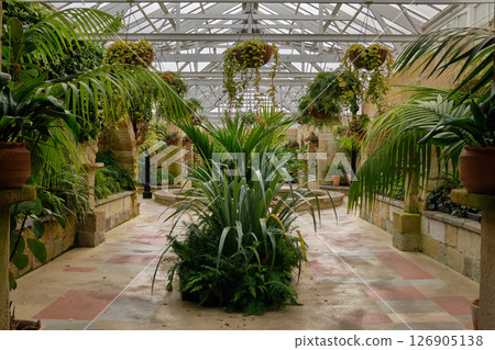 Conservatory of the Botanical Gardens - Hobart 126905138