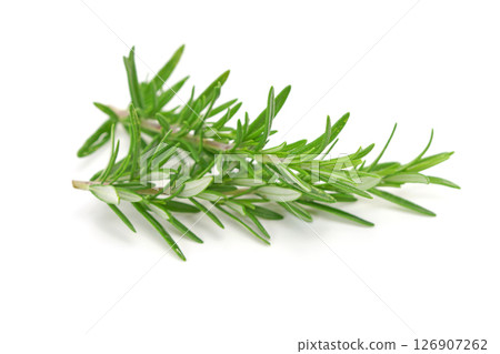 Rosemary twig isolated on white background. Rosemary twig isolated on white background. 126907262