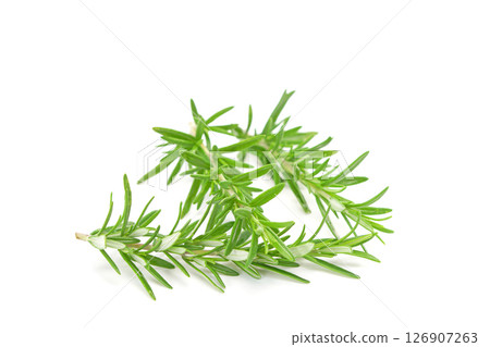 Rosemary twig isolated on white background. 126907263