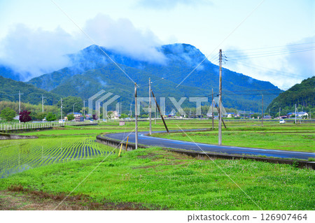 Early morning in a rural area with fresh greenery near Okubo-cho, Tochigi City Early morning in a rural area with fresh greenery near Okubo-cho, Tochigi City 126907464