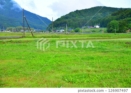 栃木市大久保町附近的清晨，綠意盎然的鄉村 126907497