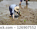 A rice terrace owner planting rice 126907552