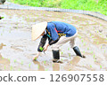 A rice terrace owner planting rice 126907558